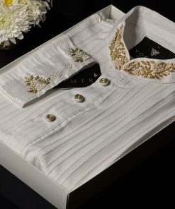 Elegant Zardozi Panjabi-5001